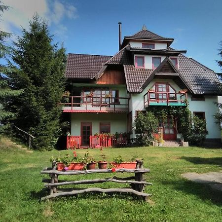 Casa Paltin Vila Si Cabane Poiana Stampei Dış mekan fotoğraf