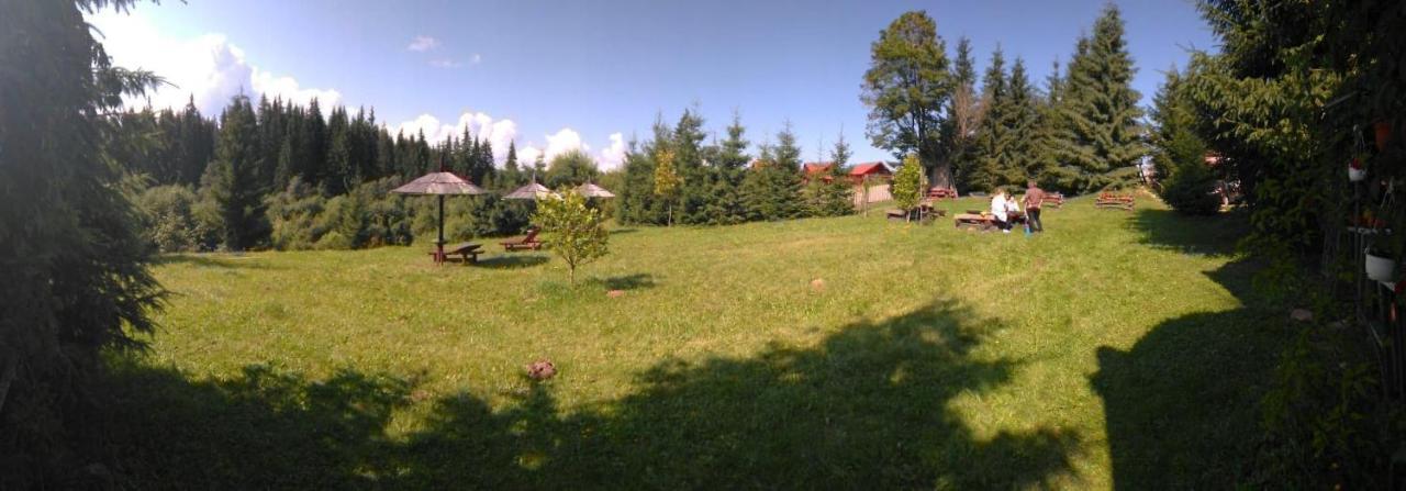 Casa Paltin Vila Si Cabane Poiana Stampei Dış mekan fotoğraf