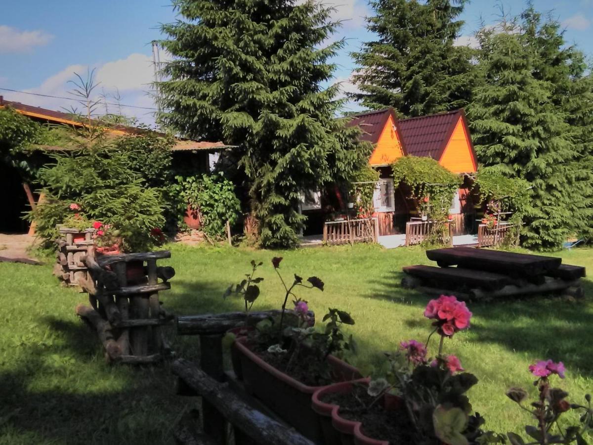 Casa Paltin Vila Si Cabane Poiana Stampei Dış mekan fotoğraf