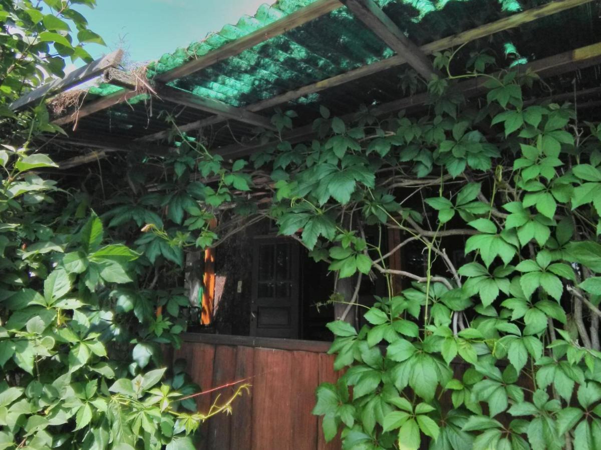 Casa Paltin Vila Si Cabane Poiana Stampei Dış mekan fotoğraf
