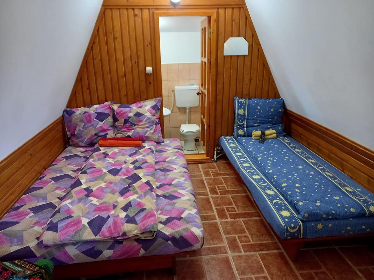 Casa Paltin Vila Si Cabane Poiana Stampei Dış mekan fotoğraf