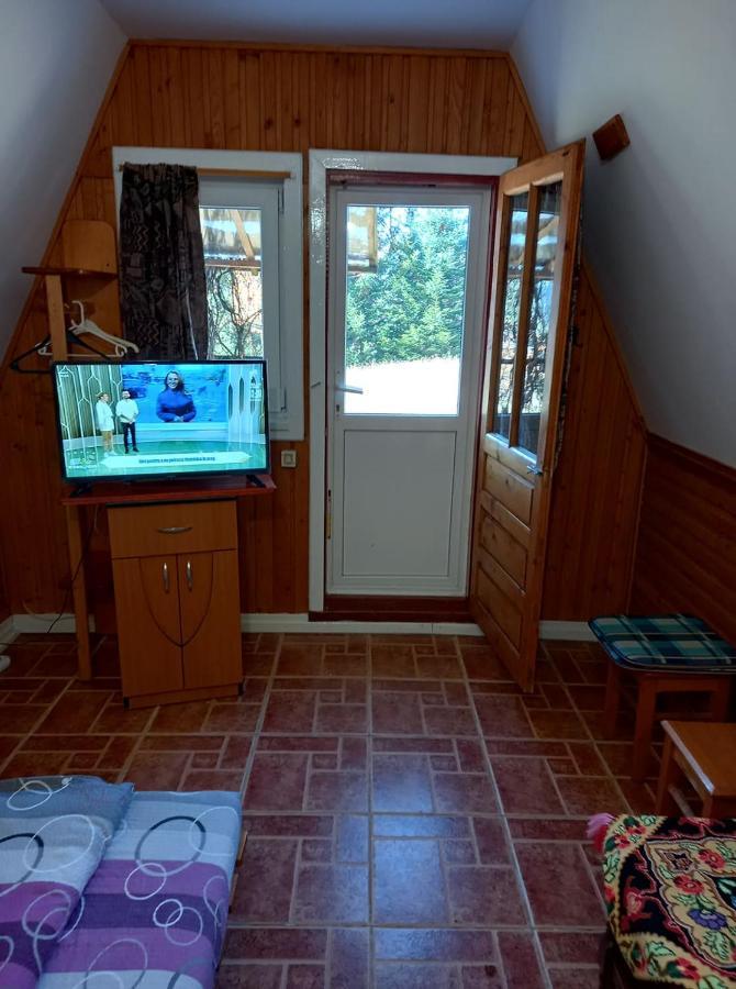 Casa Paltin Vila Si Cabane Poiana Stampei Dış mekan fotoğraf