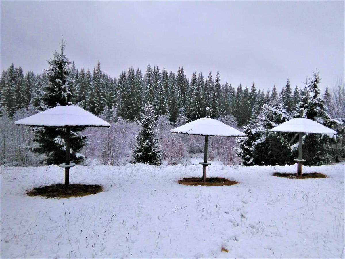 Casa Paltin Vila Si Cabane Poiana Stampei Dış mekan fotoğraf