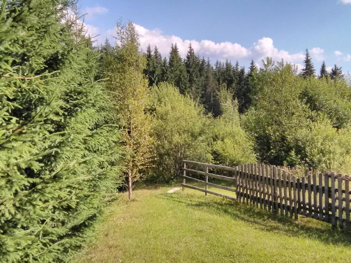 Casa Paltin Vila Si Cabane Poiana Stampei Dış mekan fotoğraf