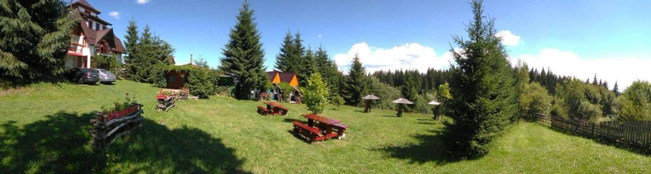 Casa Paltin Vila Si Cabane Poiana Stampei Dış mekan fotoğraf